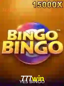 bingobingo
